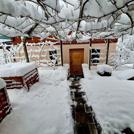 Vineyard Cottage Matej Trebnje Bagian luar foto