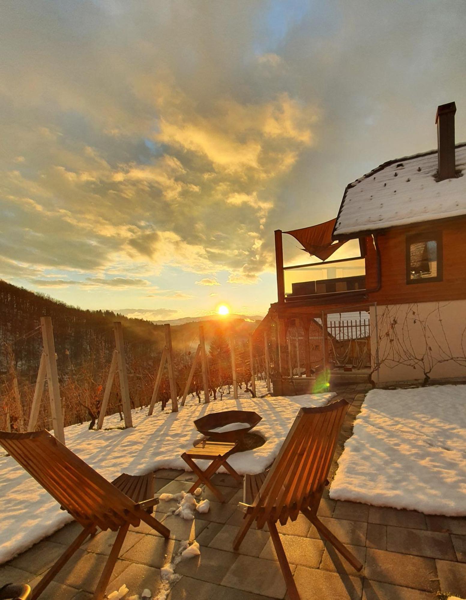 Vineyard Cottage Matej Trebnje Bagian luar foto