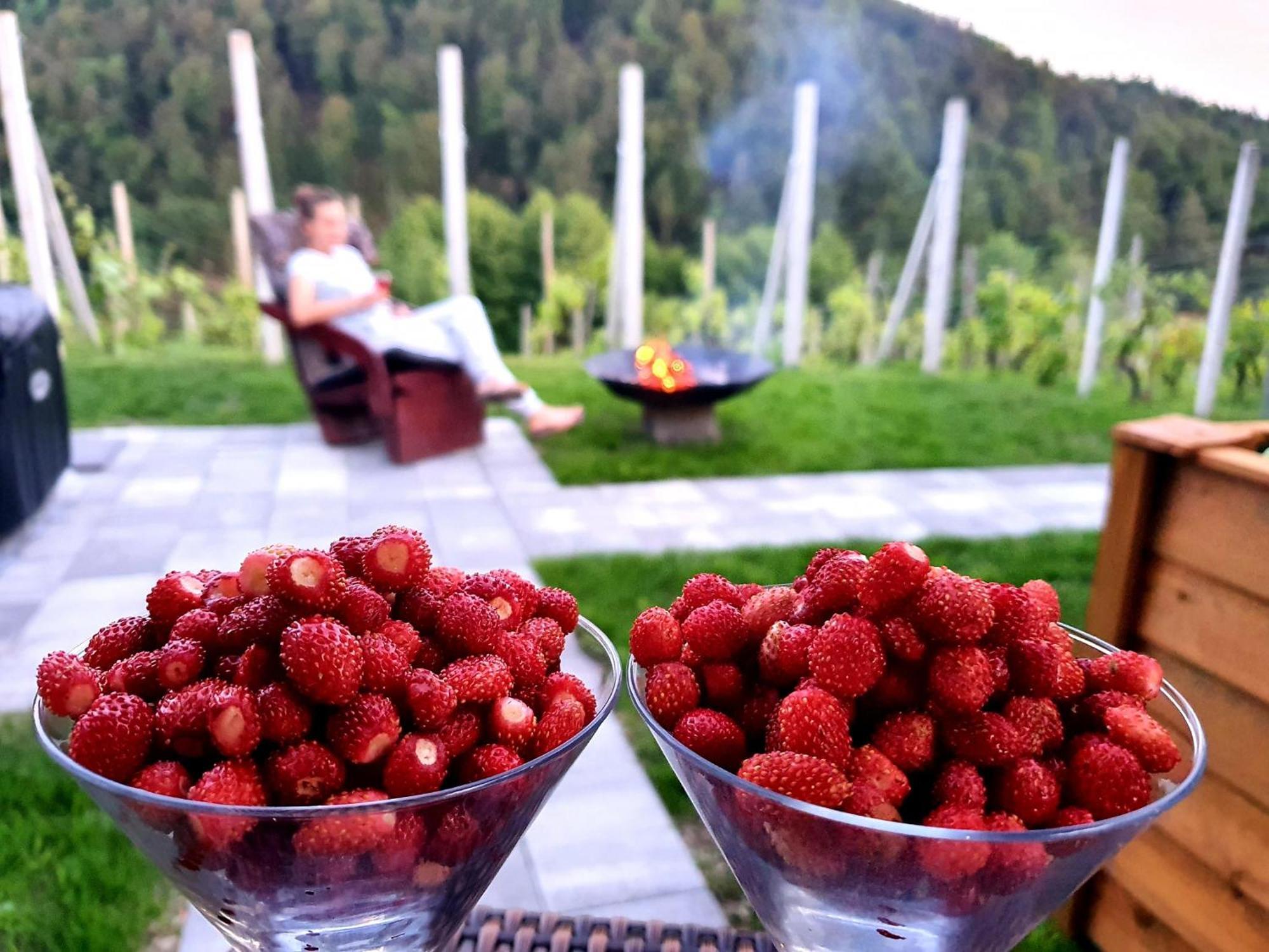Vineyard Cottage Matej Trebnje Bagian luar foto