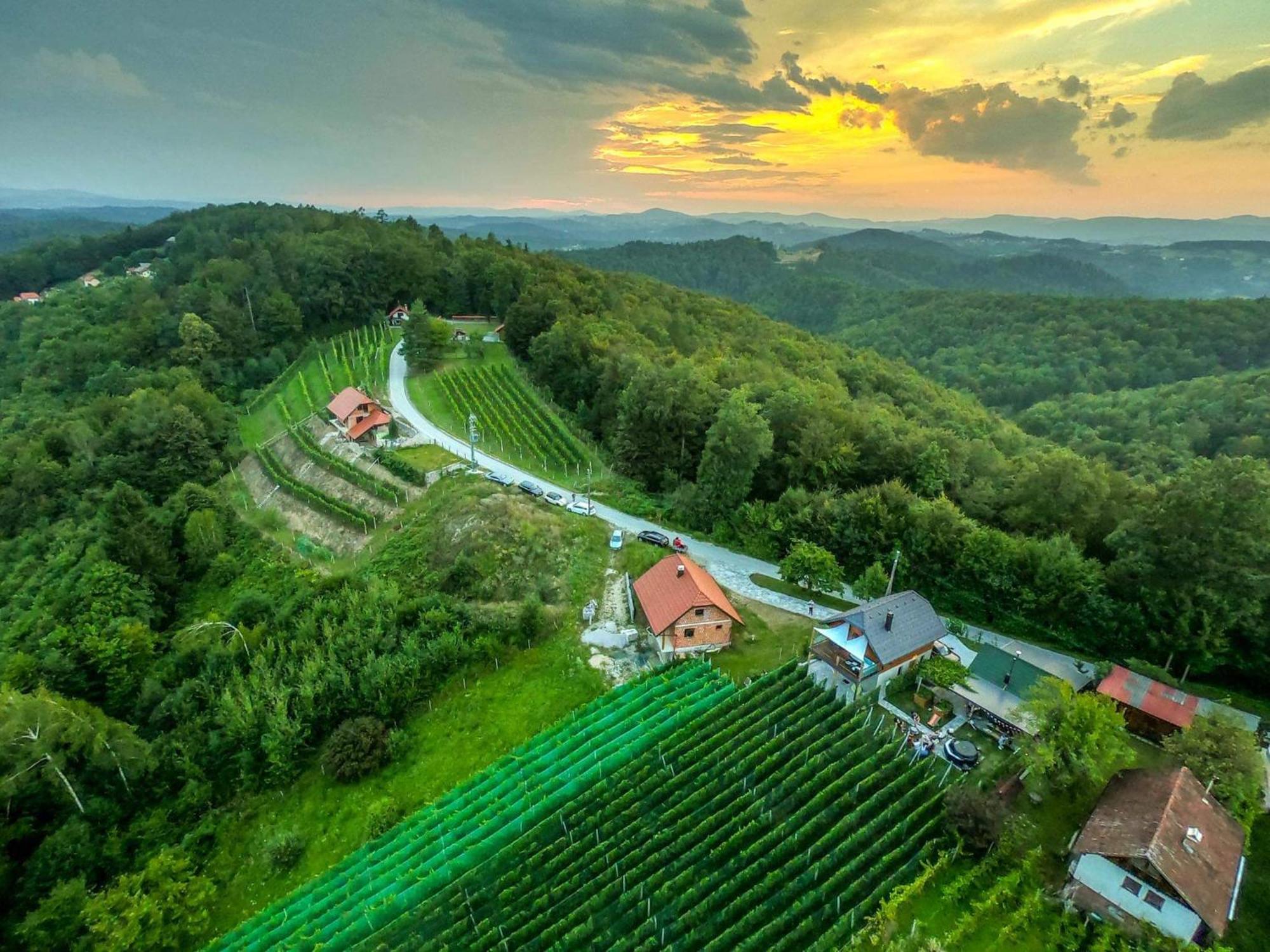 Vineyard Cottage Matej Trebnje Bagian luar foto