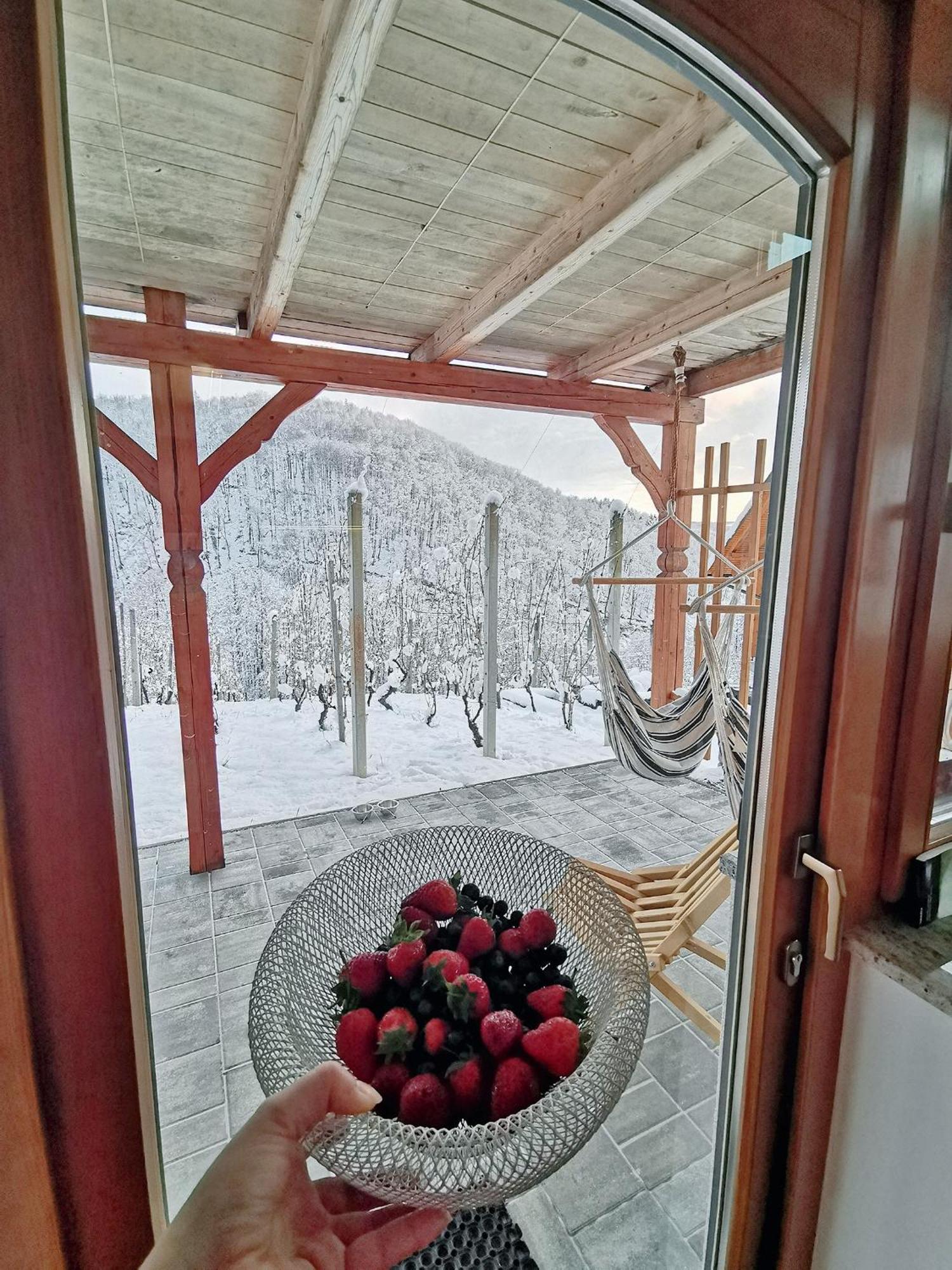 Vineyard Cottage Matej Trebnje Bagian luar foto
